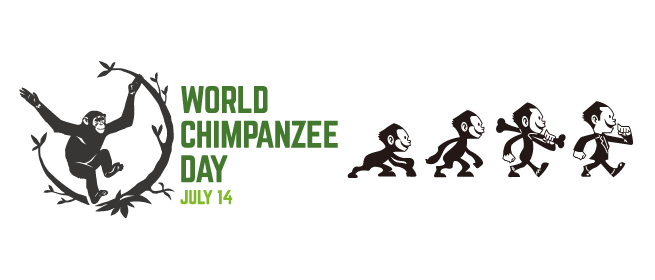 World Chimpanzee Day｜世界チンパンジーの日