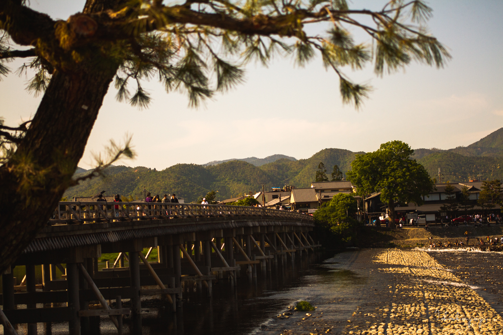 CORONA SUNSETS SESSIONS KYOTO