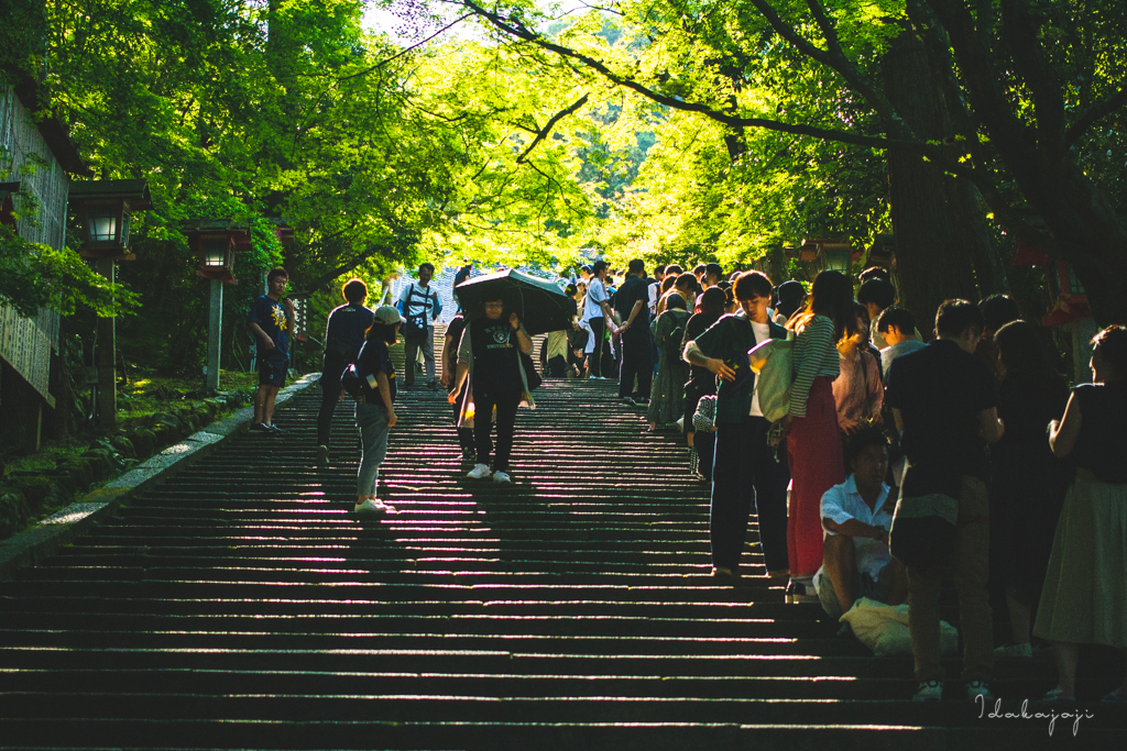 CORONA SUNSETS SESSIONS KYOTO