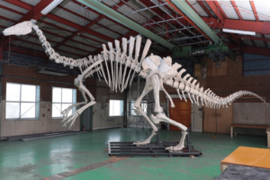 国立科学博物館 特別展『恐竜博 2019』