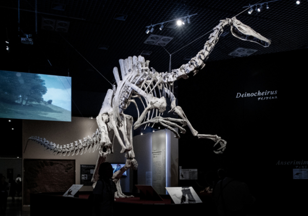 国立科学博物館 特別展『恐竜博 2019』