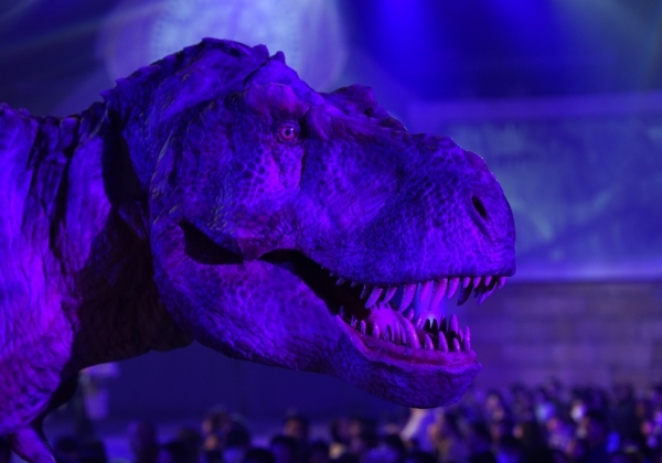 DINO-A-LIVE『不思議な恐竜博物館』in TACHIKAWA
