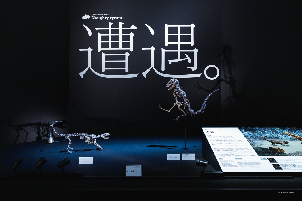 DinoScience 恐竜科学博～ララミディア大陸の恐竜物語～