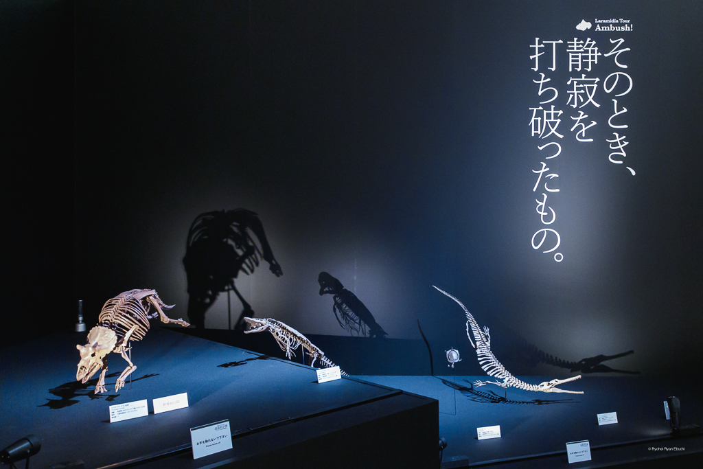 DinoScience 恐竜科学博～ララミディア大陸の恐竜物語～