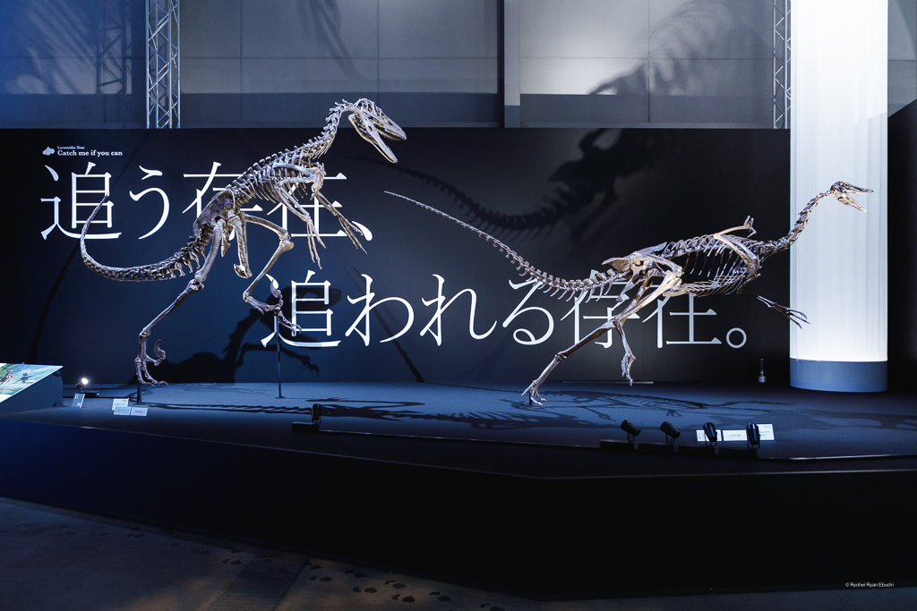 DinoScience 恐竜科学博～ララミディア大陸の恐竜物語～