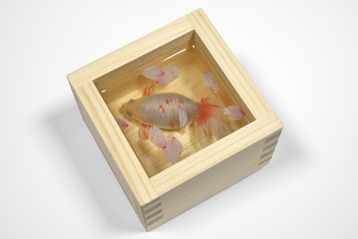 金魚絵師 深堀隆介展「金魚鉢、地球鉢。」