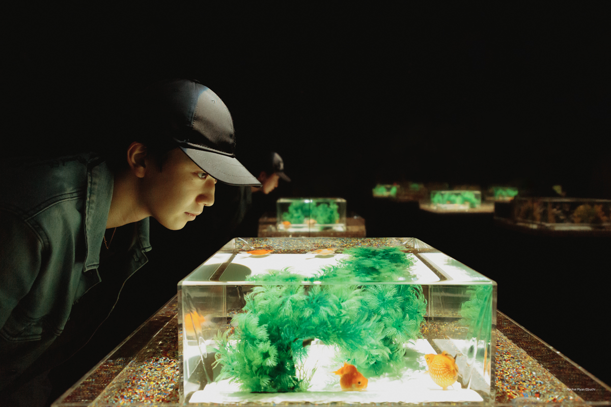 アートアクアリウム美術館 GINZA