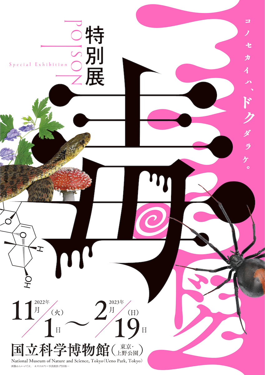 特別展『毒』が11月より国立科学博物館で開催—毒生物の巨大模型を含む総展示“毒”数250点超、各分野の毒を網羅