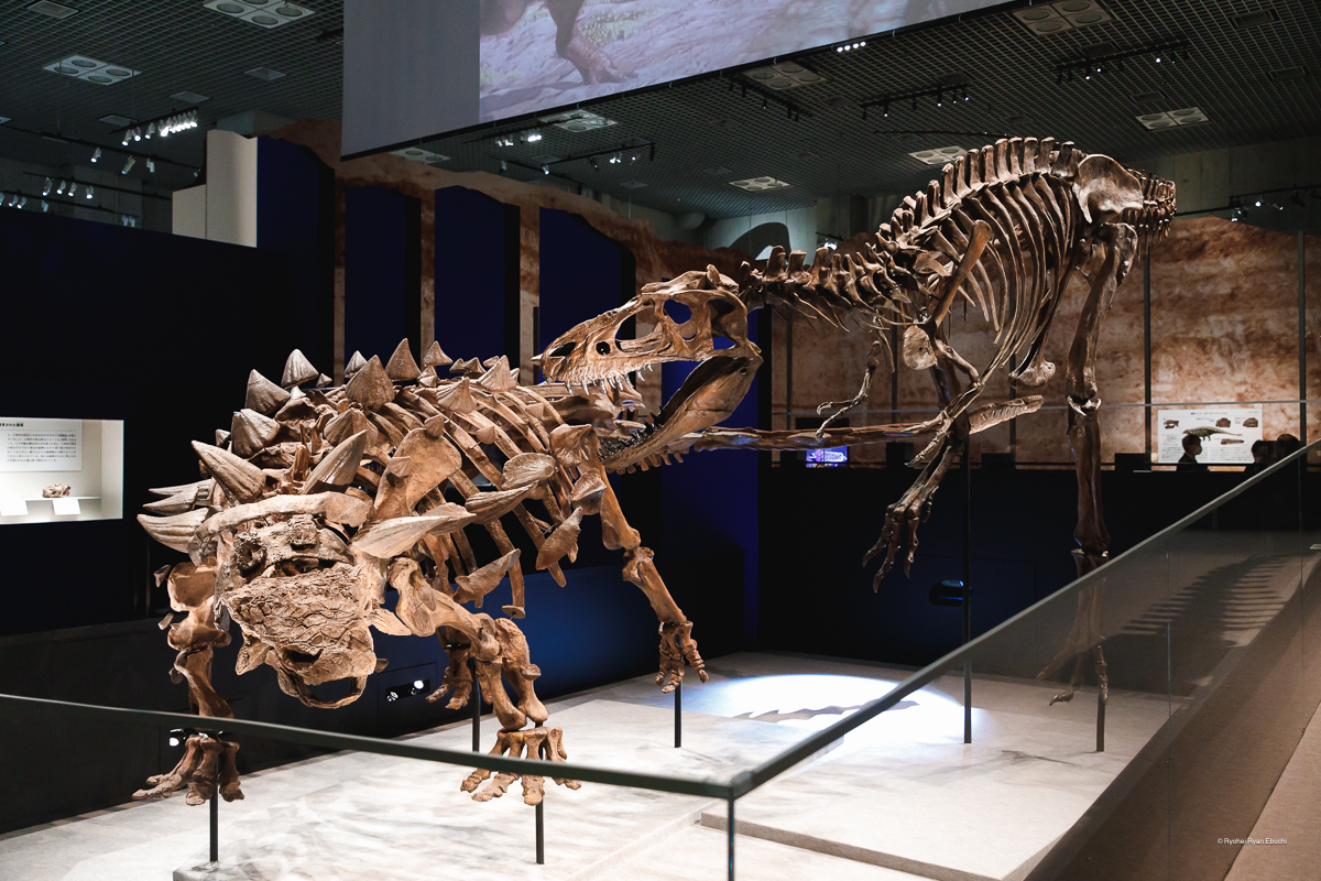 恐竜の進化に迫る特別展「恐竜博2023」が国立科学博物館で開催—生物多様性を減らさないこと、人間を含む全地球の未来のために
