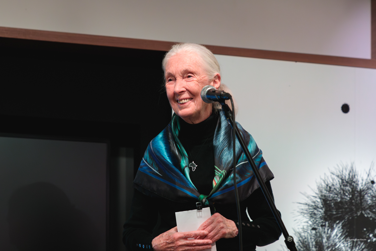 Jane Goodall｜ジェーン・グドール