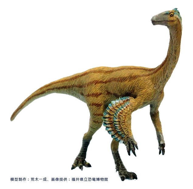 Tyrannomimus fukuiensis｜ティラノミムス・フクイエンシス