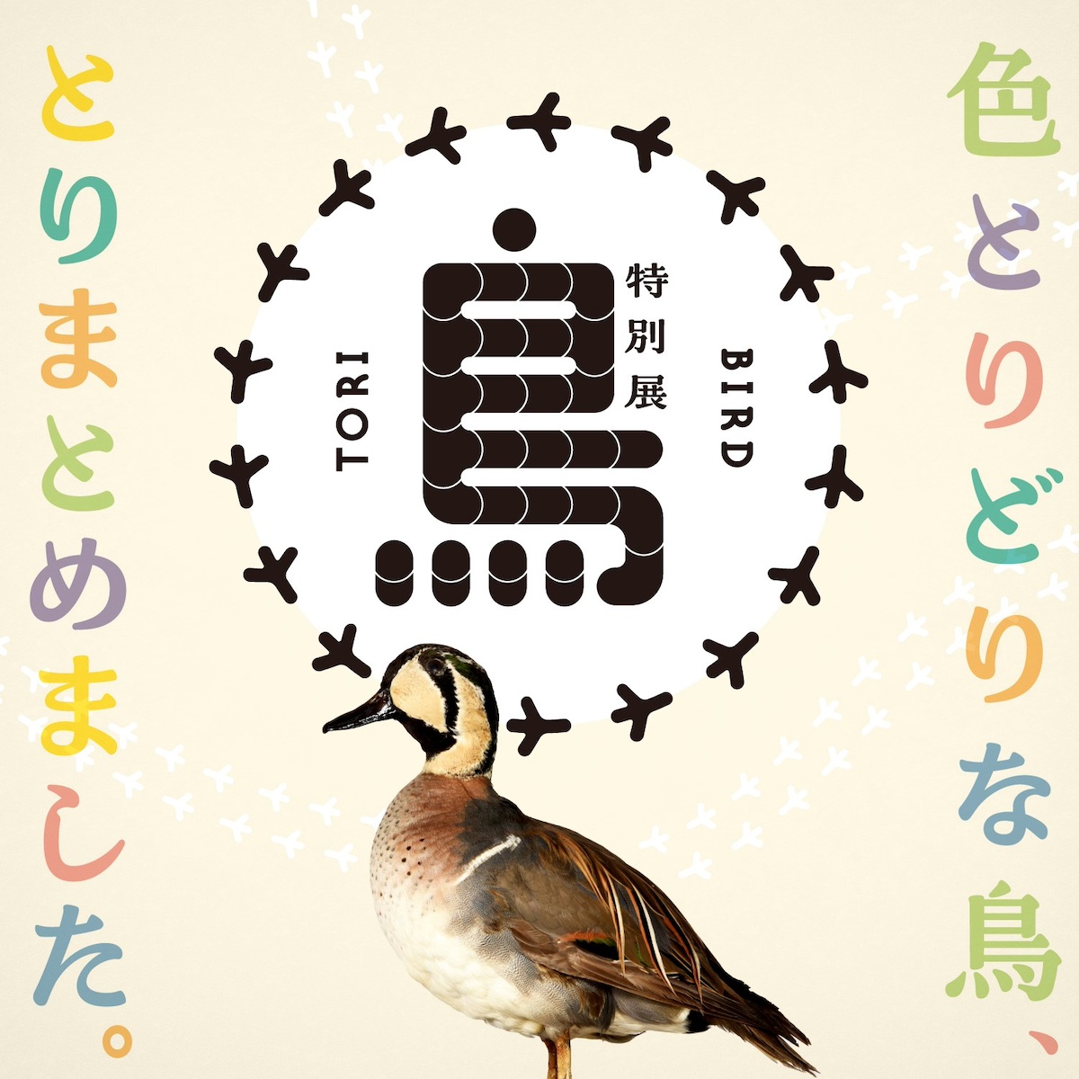 特別展「鳥」