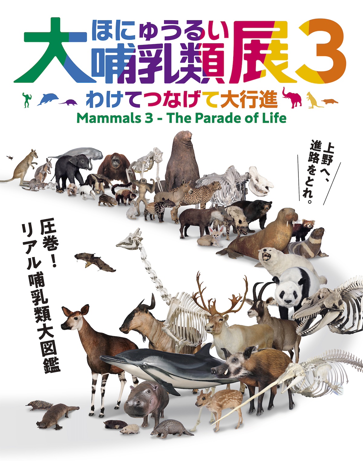 特別展「大哺乳類展3−わけてつなげて大行進」