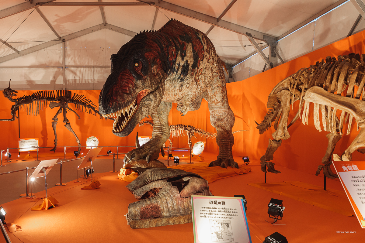 オダイバ恐竜博覧会2024－福井から“ヤツラ”が新幹線でやってくる！－