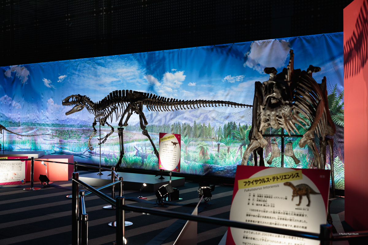 オダイバ恐竜博覧会2024－福井から“ヤツラ”が新幹線でやってくる！－