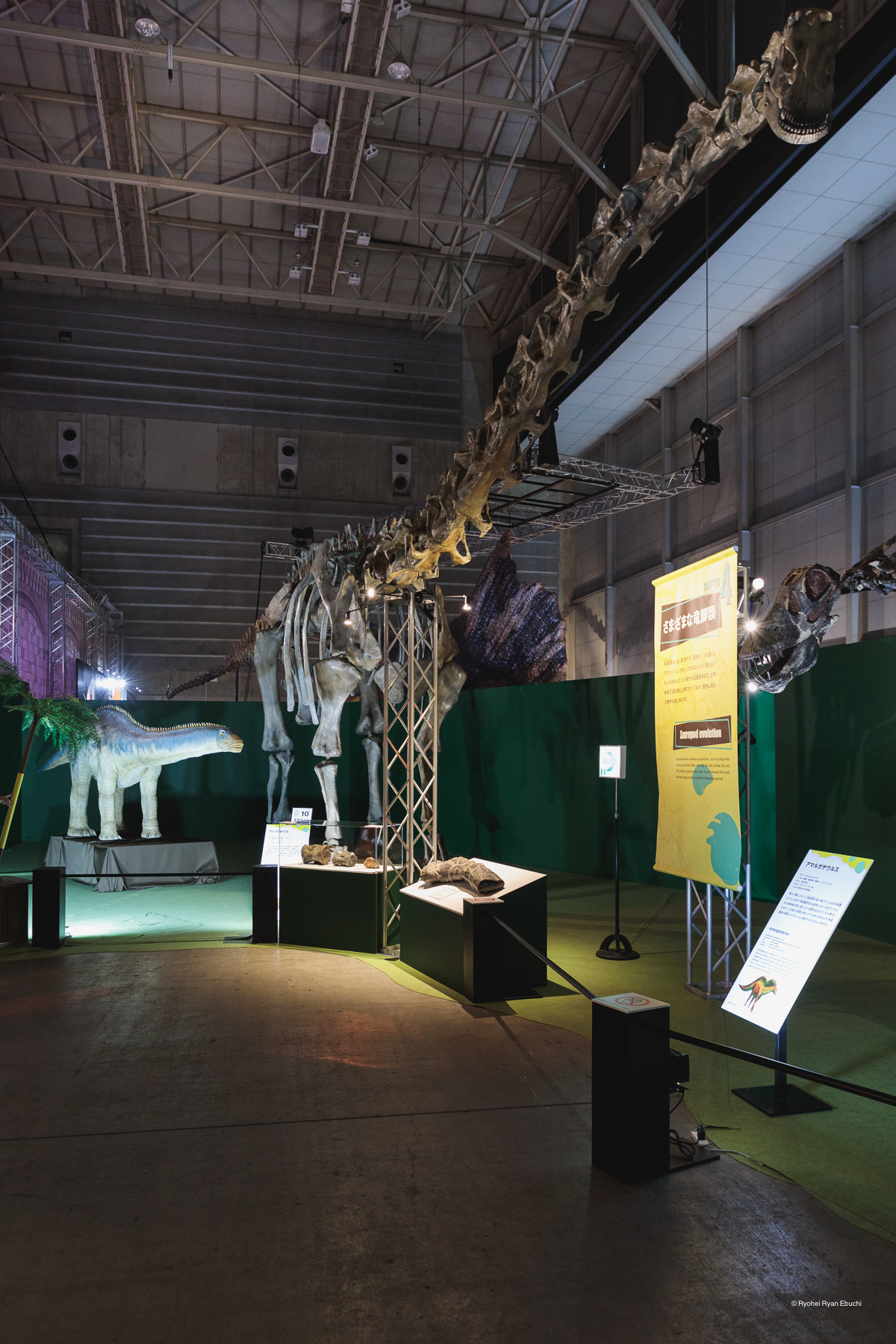 Giant Dinosaurs 2024|巨大恐竜展