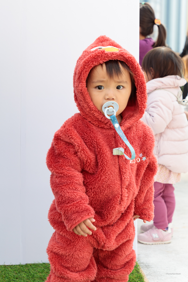 Sesame Street Market Fes|セサミストリートマーケットフェス
