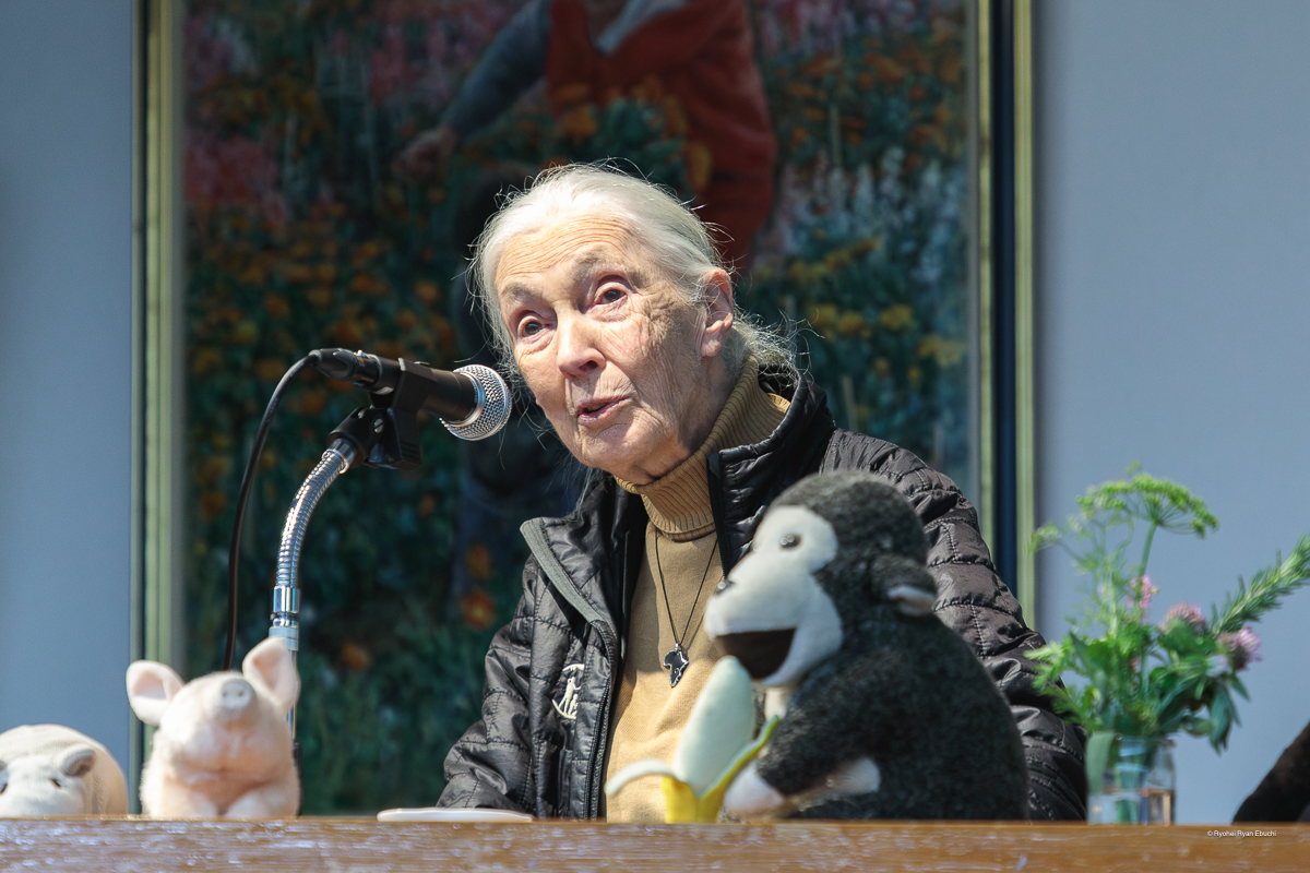 Dame Jane Goodall, DBE|ジェーン・グドール博士
