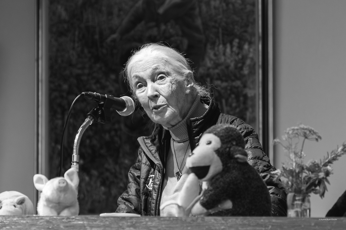 Dr. Jane Goodall｜ジェーン・グドール博士