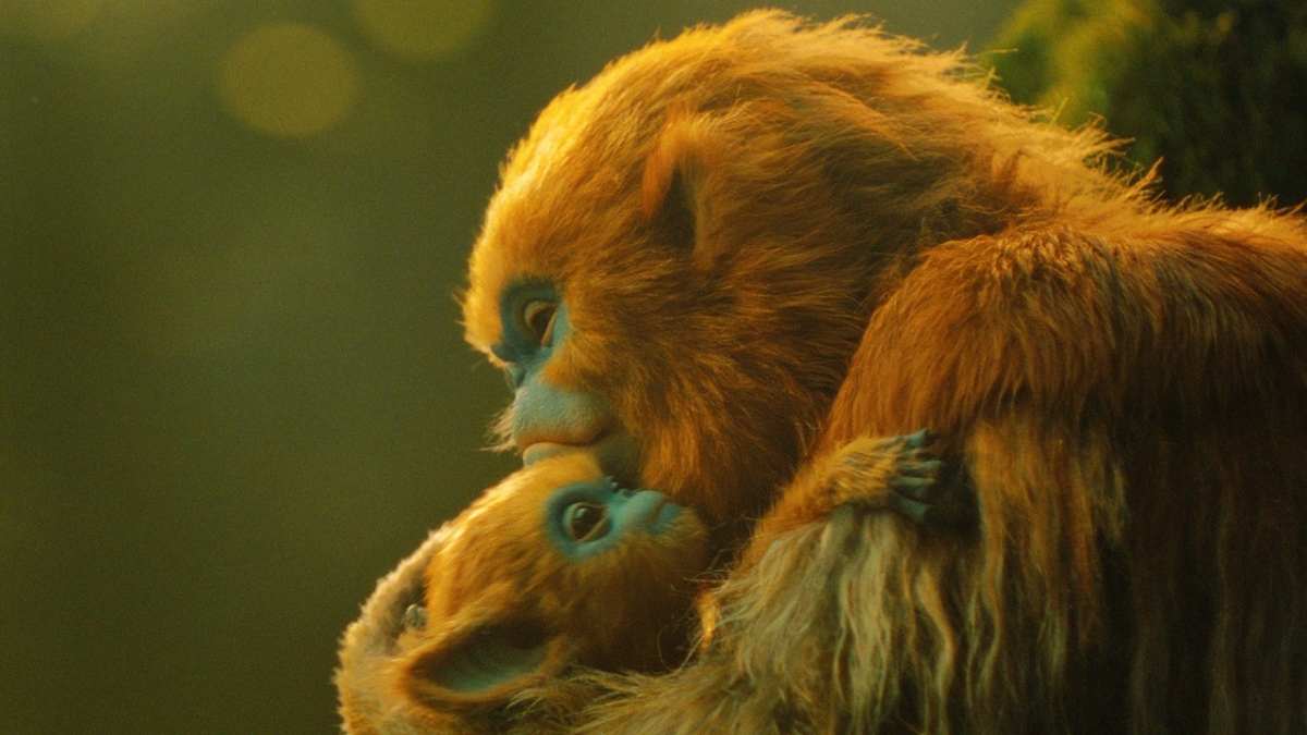 The Legend of Ochi｜OCHI! -オチ-