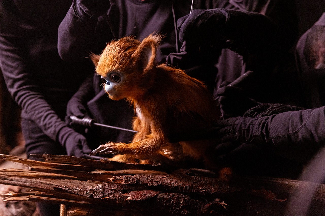 The Legend of Ochi｜OCHI! -オチ-